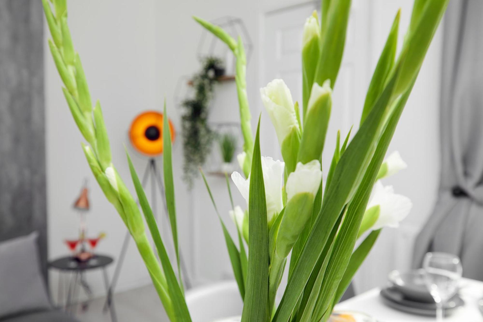 Your Sheffield Stays - Spacious 5 Bedroom House Ruang foto